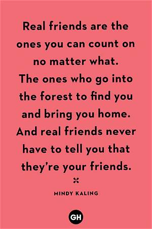Are They Your Real Friends? Fact-Checking Social Bonds in the Age of Digital Validation