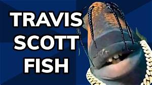 Did Travis Scott Acknowledge the Fish Meme? Fact-Checking the Viral Craze