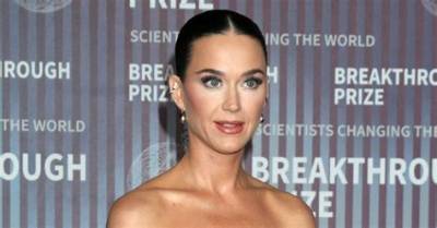Everything to Know About Katy Perry’s Viral Sheer Bodysuit and Tour Outfits
