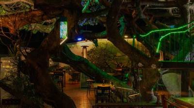 Inside the Secret Tree House Restaurant Serving Margarita Flights Above the Canopy