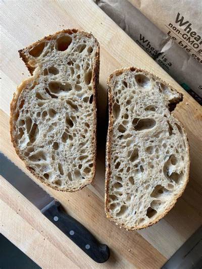 Inside the Sourdough Jack: Taste Test, Texture Breakdown, and Burger Rankings