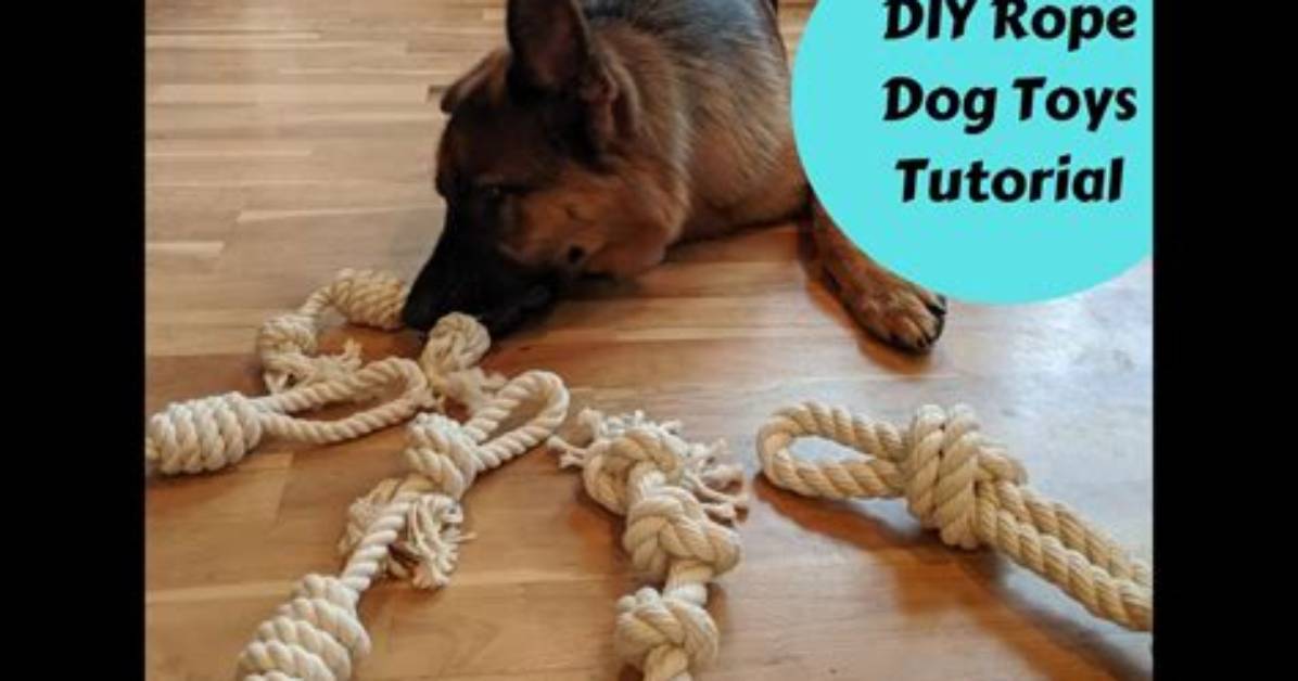 Knotted by Dog