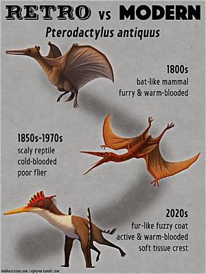 Pteranodon vs Pterodactyl: the Definitive Guide to Flying Prehistoric Reptiles