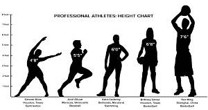 The Evolution of Athlete Heights: Where a 185 Cm Frame Dominates Today