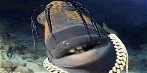 The Rise of 'Travis Scott Fish': a Complete Timeline of the Internet's Wildest Meme