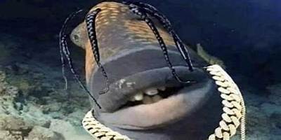 The Rise of 'Travis Scott Fish': a Complete Timeline of the Internet's Wildest Meme