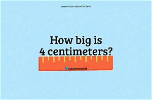 The Ultimate 6'4 in Centimeters Guide: Conversion Formula, Percentiles, and Faq