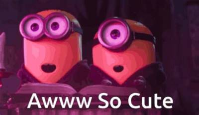 The Ultimate Guide to 'Aww So Cute' Content: Top Subreddits, Creators, and Feel-Good Feeds to Follow
