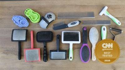 Vet Assistant Tested: the Best Dog Brushes for Long-Haired Dachshunds