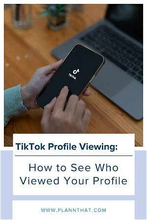 What Tiktok Profile Visitors Actually See: Visual Proof and Alerts