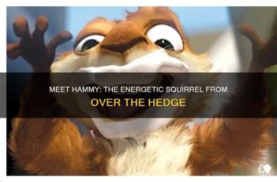 Who Played the Hyperactive Squirrel in over the Hedge? Steve Carell's Unhinged Performance Revealed